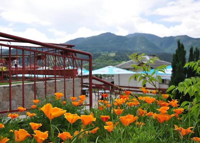 Kris 게스트하우스