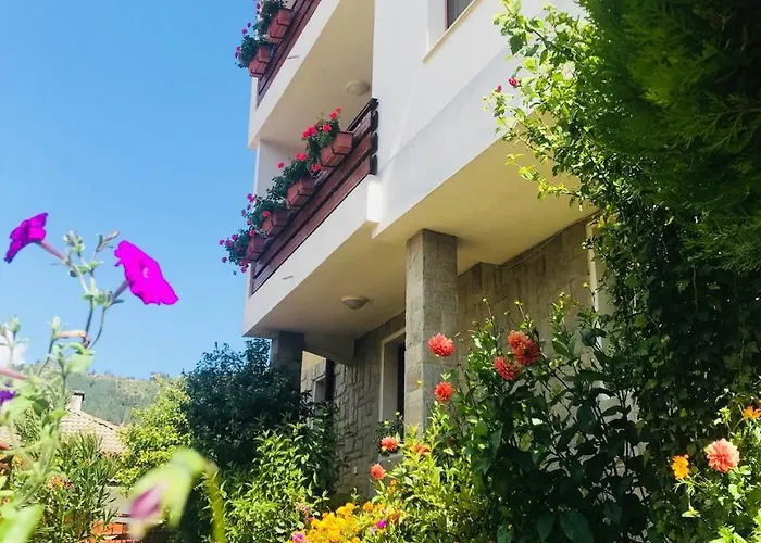 Kris 게스트하우스 3*